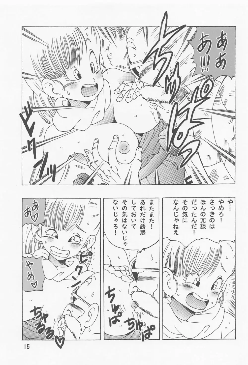 ブルマ本 ~神龍の伝説~ Page.16