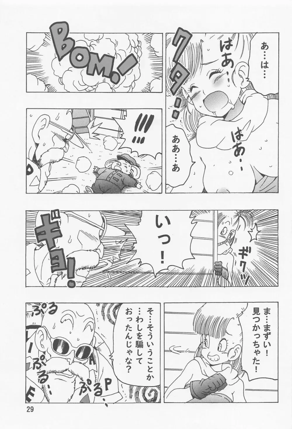 ブルマ本 ~神龍の伝説~ Page.30