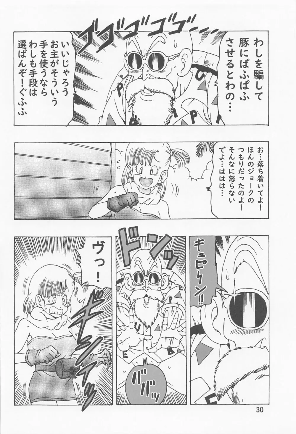 ブルマ本 ~神龍の伝説~ Page.31