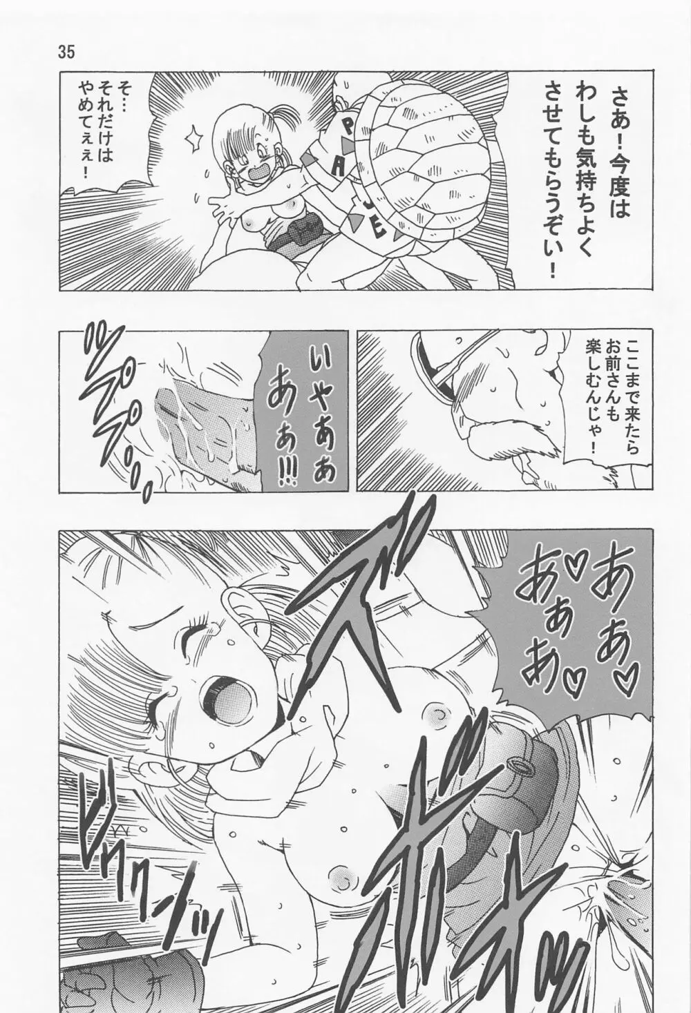 ブルマ本 ~神龍の伝説~ Page.36