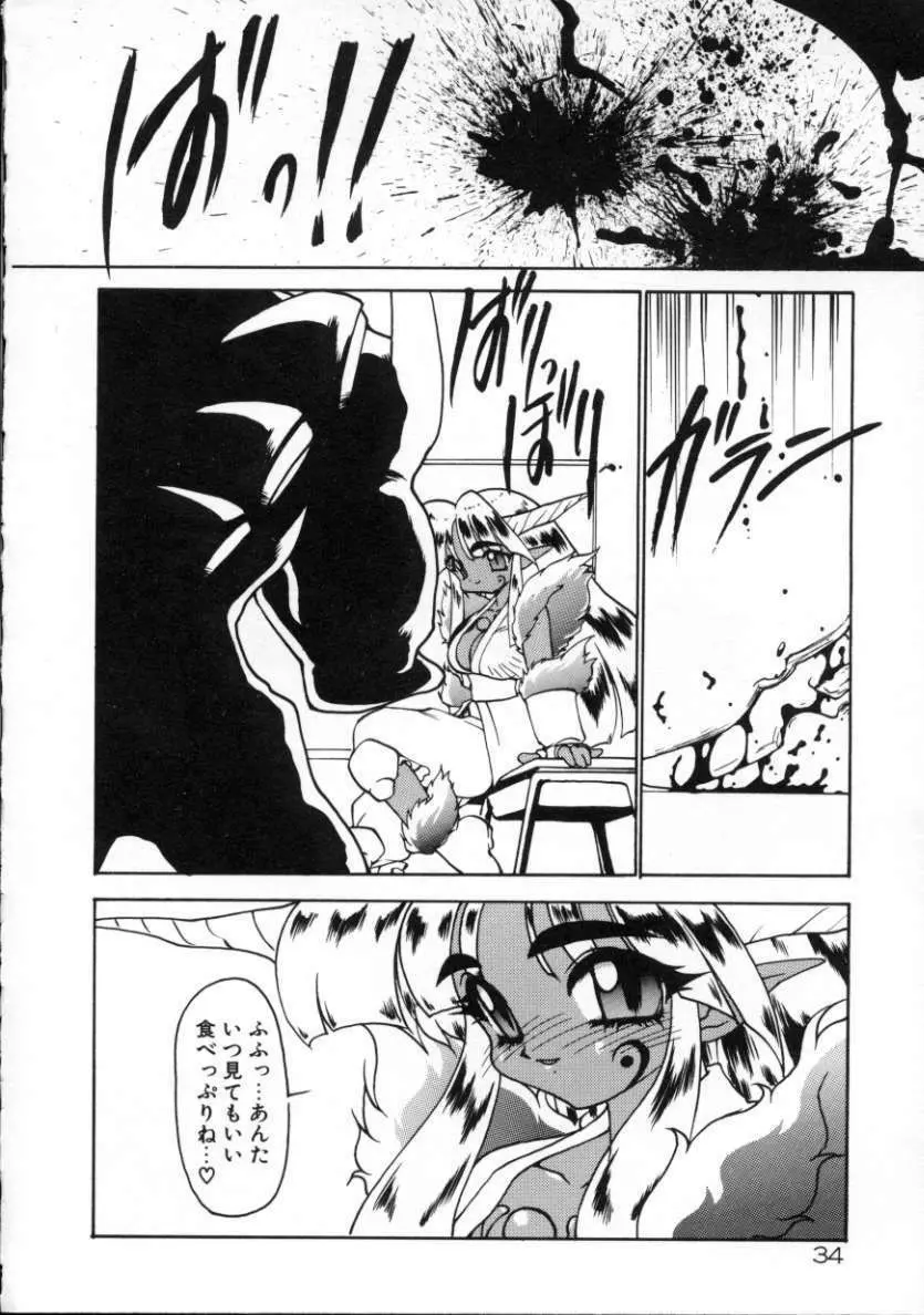 魔討綺譚 ZANKAN! 人魔覚醒編 Page.37