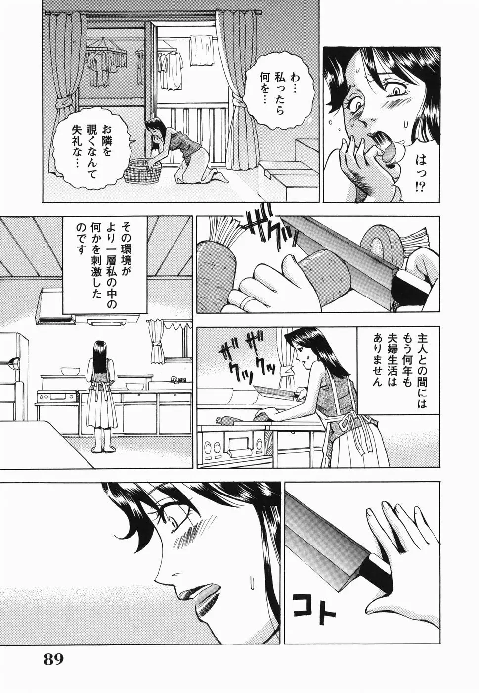 淫女狂艶 ~悶絶羞恥地獄~ Page.90