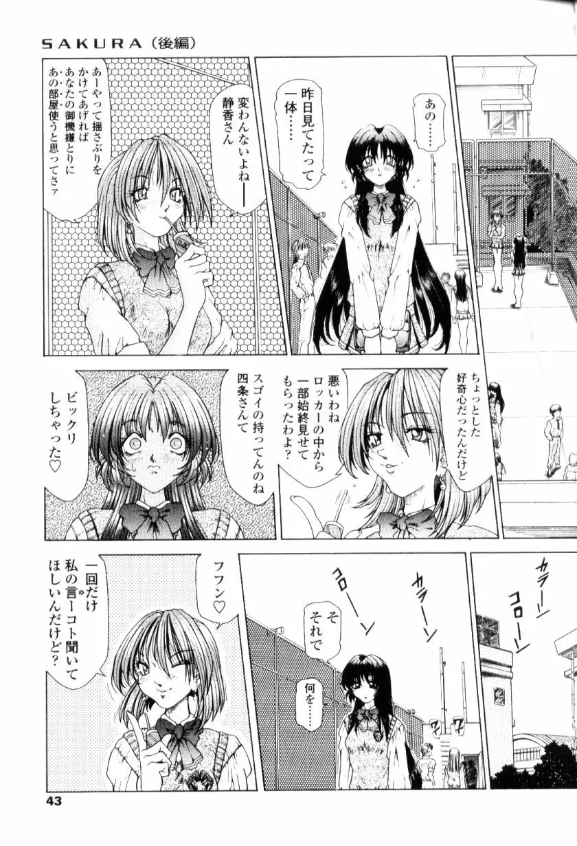 SsR エスエスアール Page.41