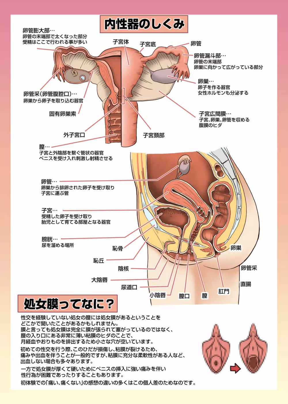 メイドさんと学ぶおんなのこのからだ Page.16