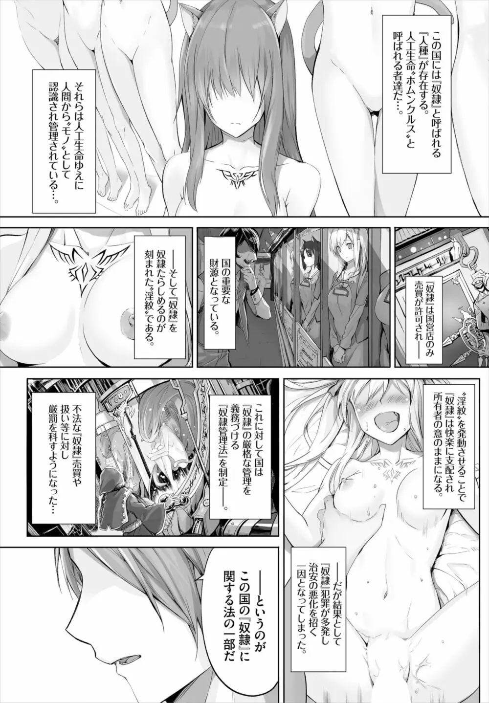 愚か者は猫耳奴隷に依存する～初めての調教生活～ 01-16 Page.2