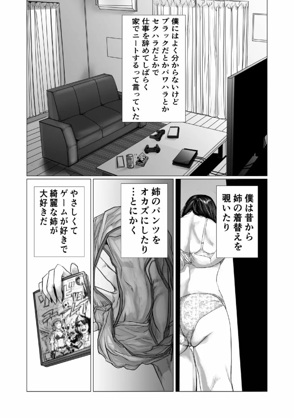 弟のゲーム脳と姉のゲーム性 Page.3