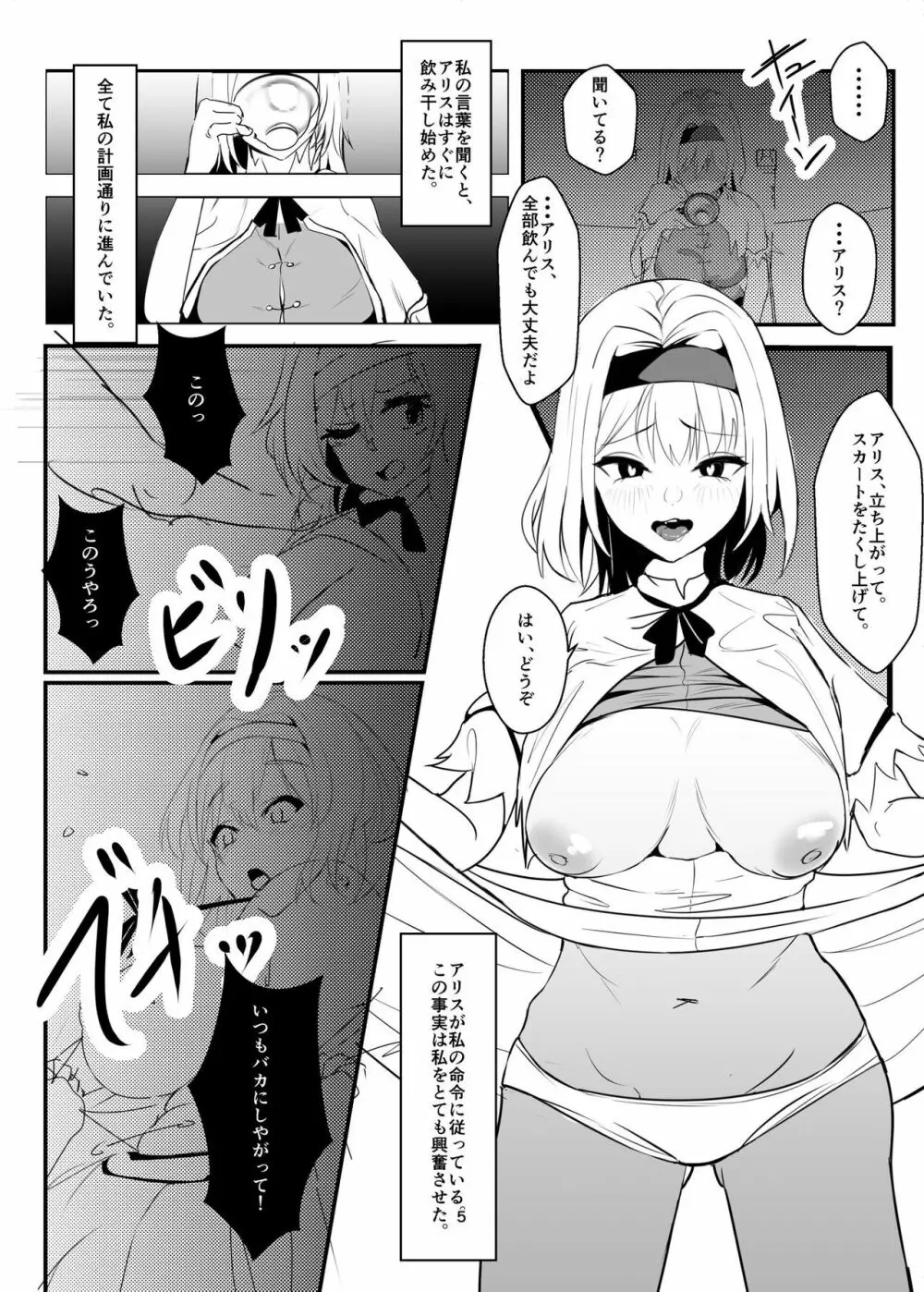 霧雨魔理沙が薬を使って犯したり犯されたりする本 Page.5