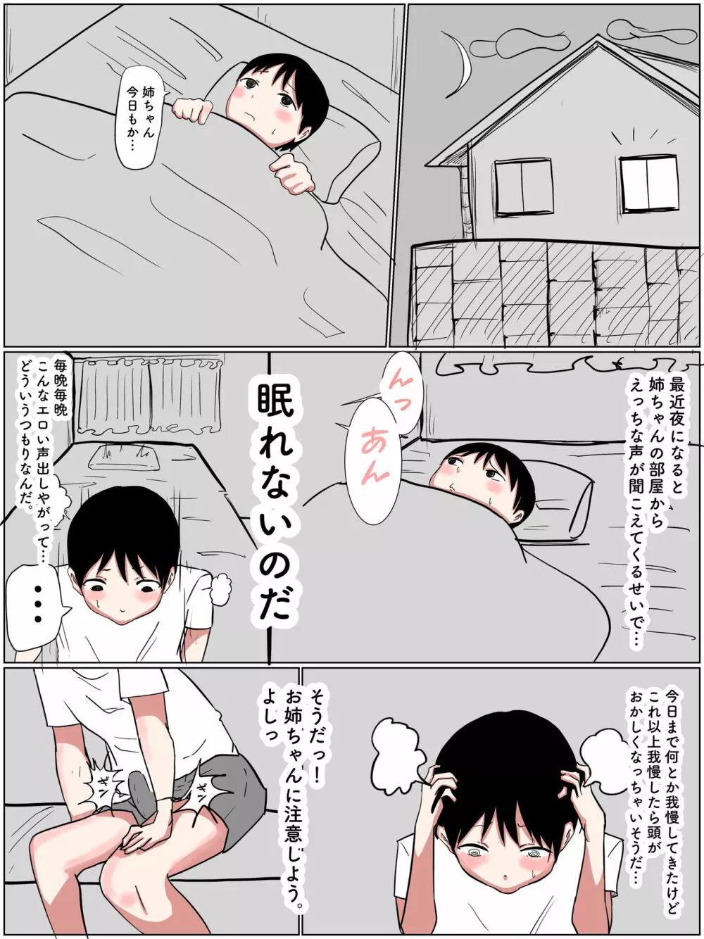 お姉ちゃんと中出しセックスするおとうと Page.3