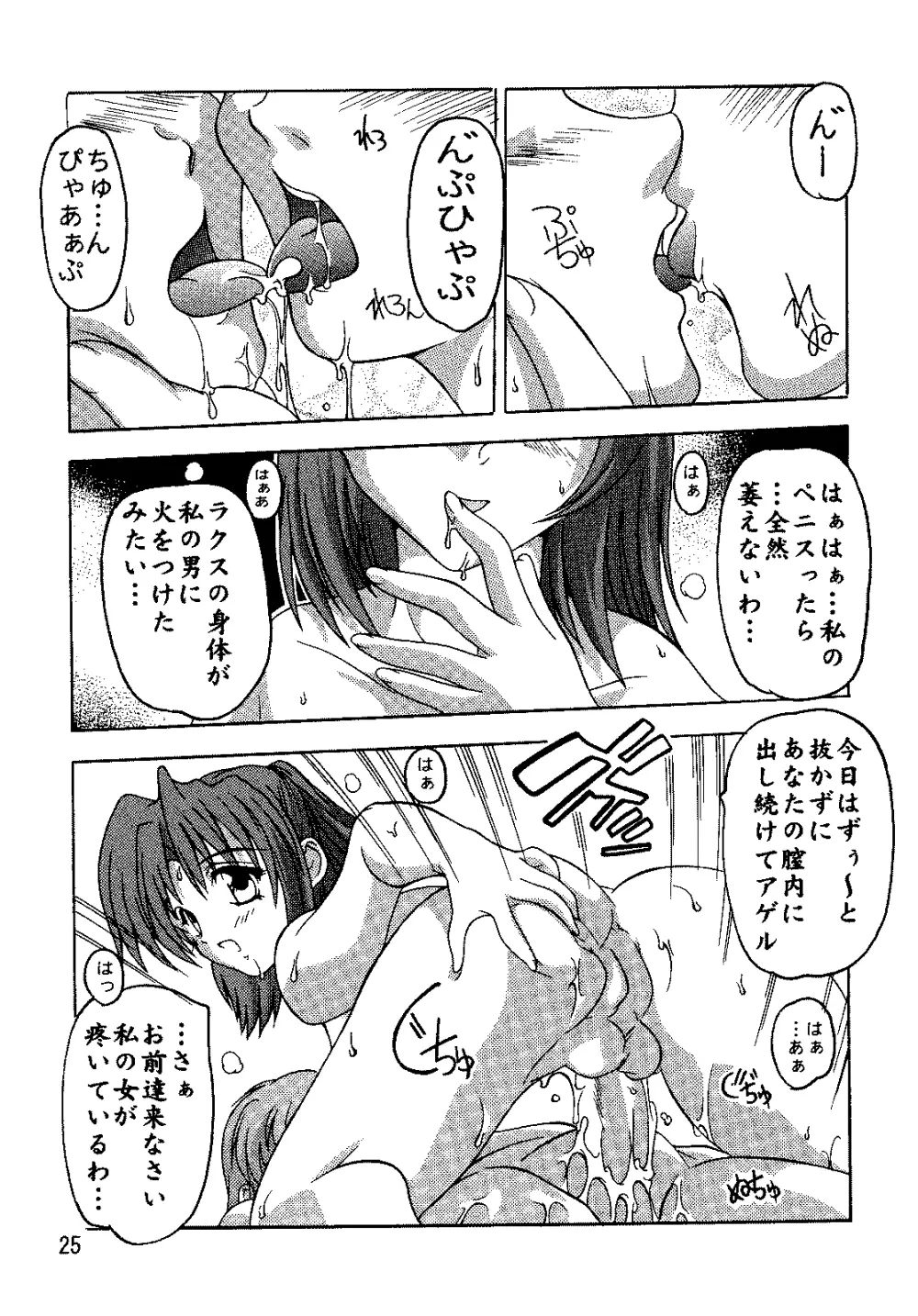 SEED総集編 Page.24