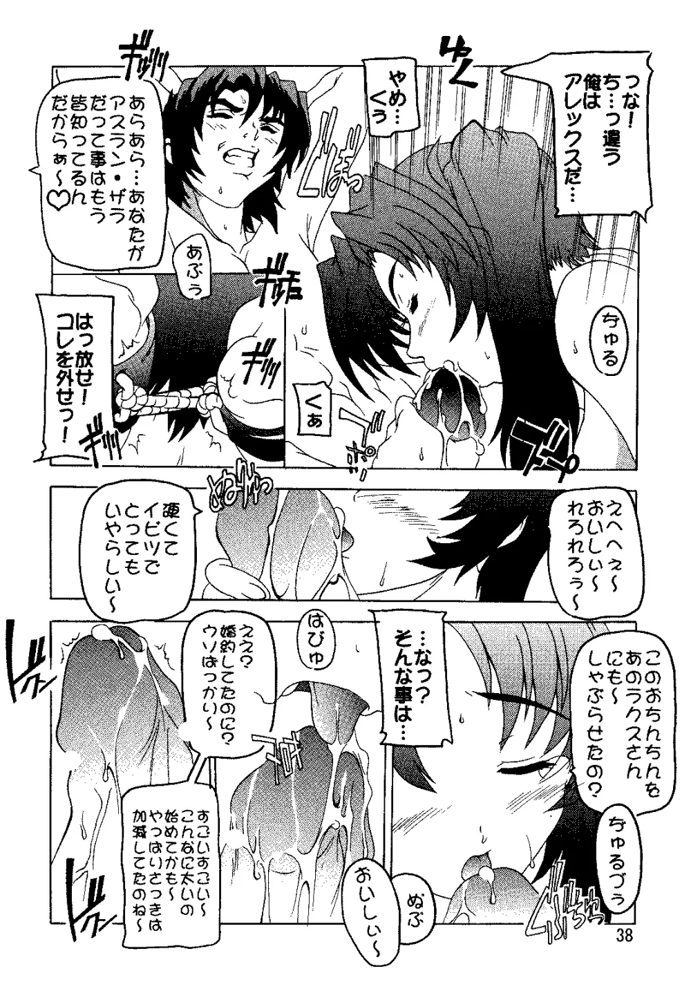 SEED総集編 Page.37