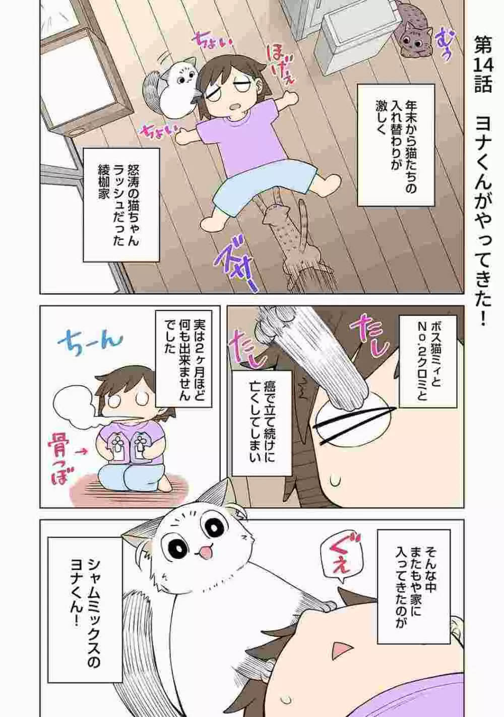 COMIC アナンガ・ランガ Vol.86 Page.223