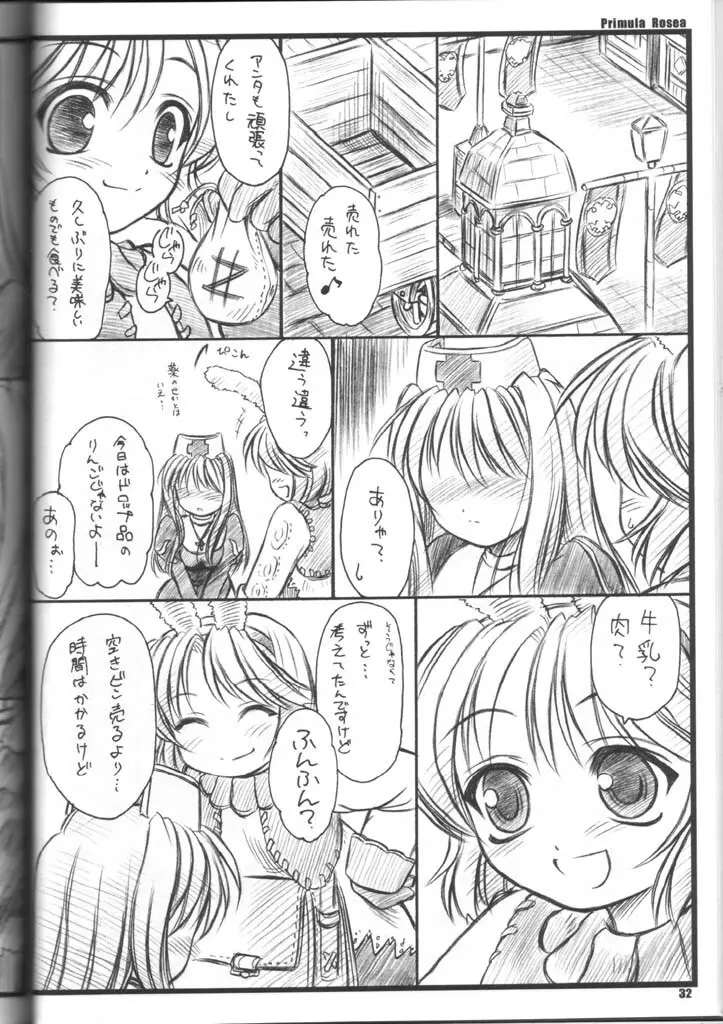 PRIMULA Rosea Page.31