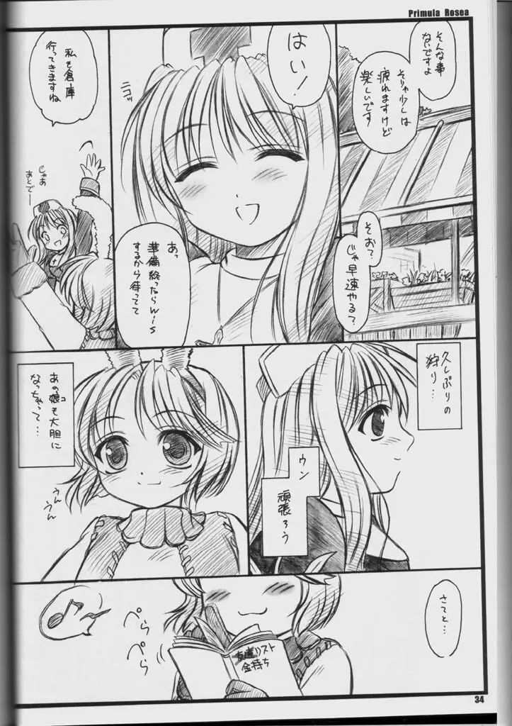 PRIMULA Rosea Page.33