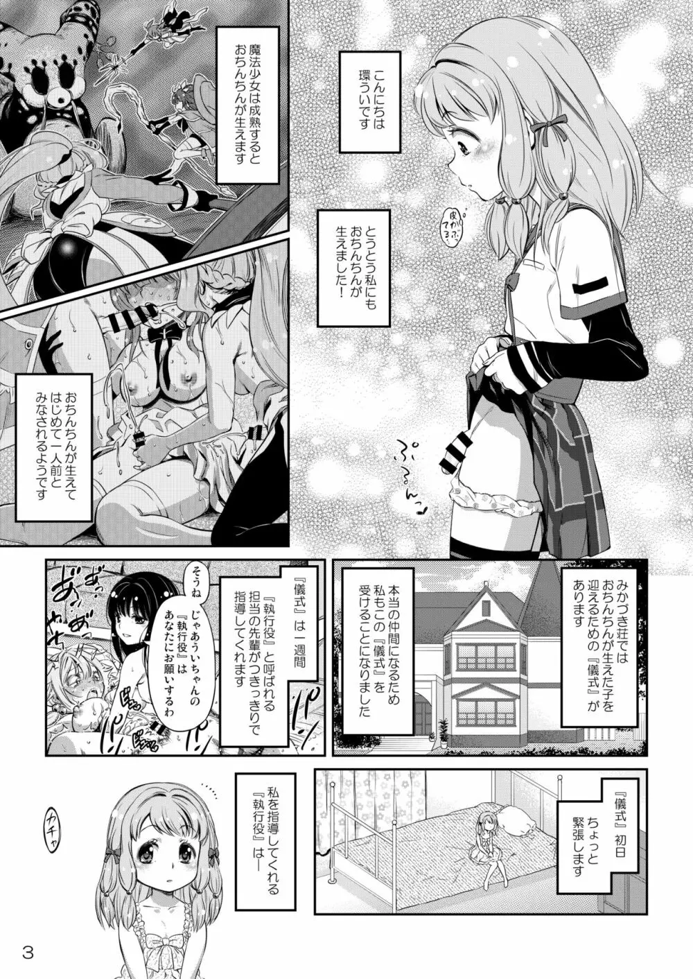 でぃあ♥まいりとるしすたぁ Page.2