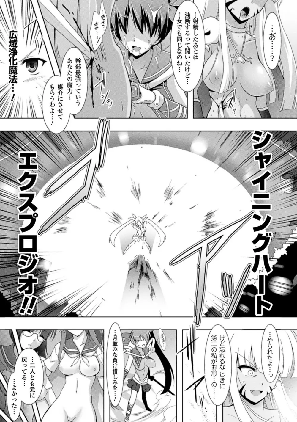 戦乙女、敗北の成れの果て Page.66