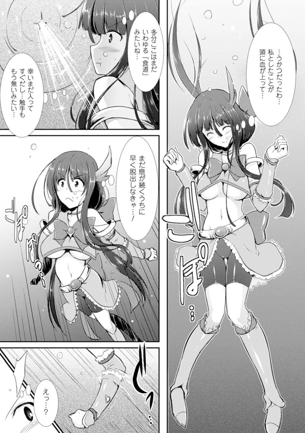 戦乙女、敗北の成れの果て Page.70