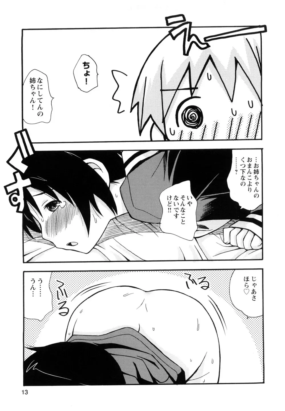 ぼくだって姉とセックスしてみたい！ Page.15