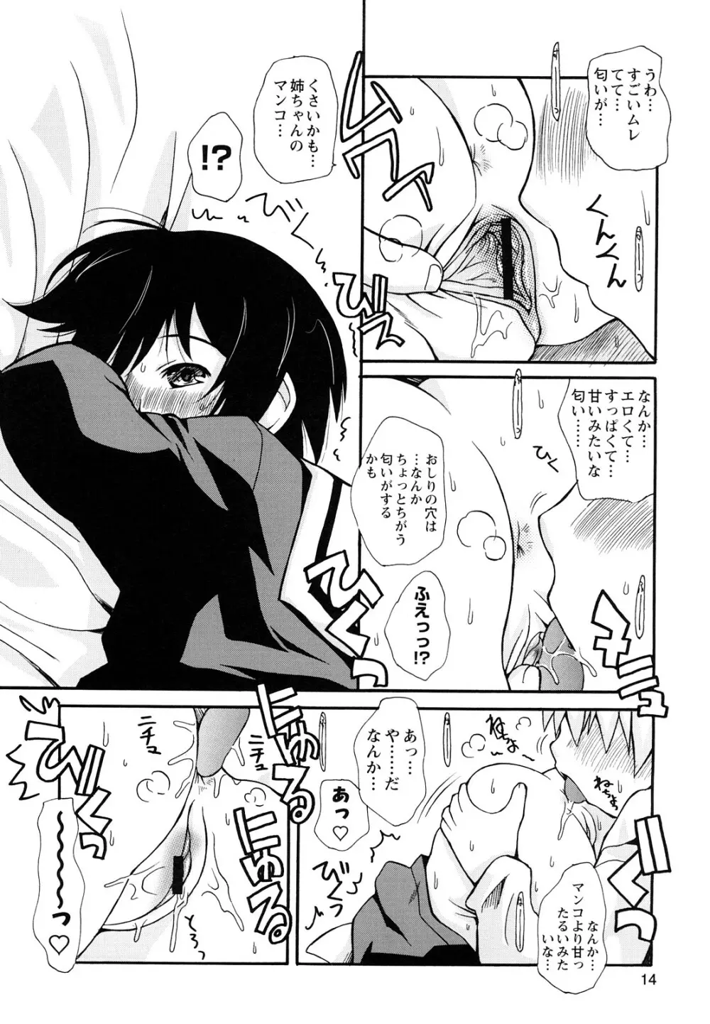 ぼくだって姉とセックスしてみたい！ Page.16