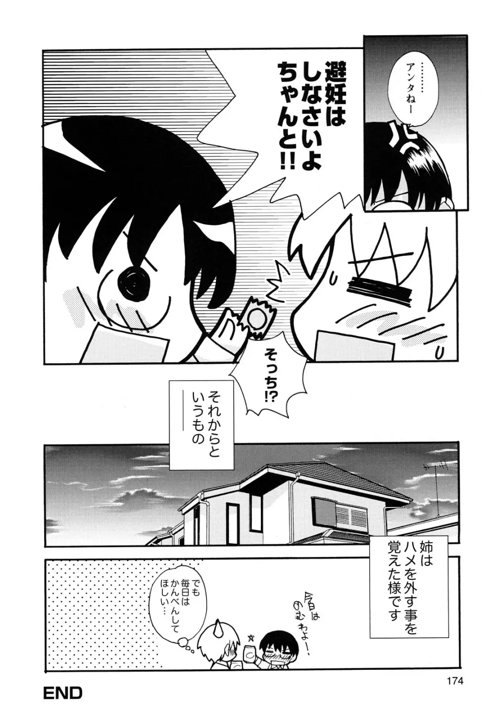 ぼくだって姉とセックスしてみたい！ Page.176