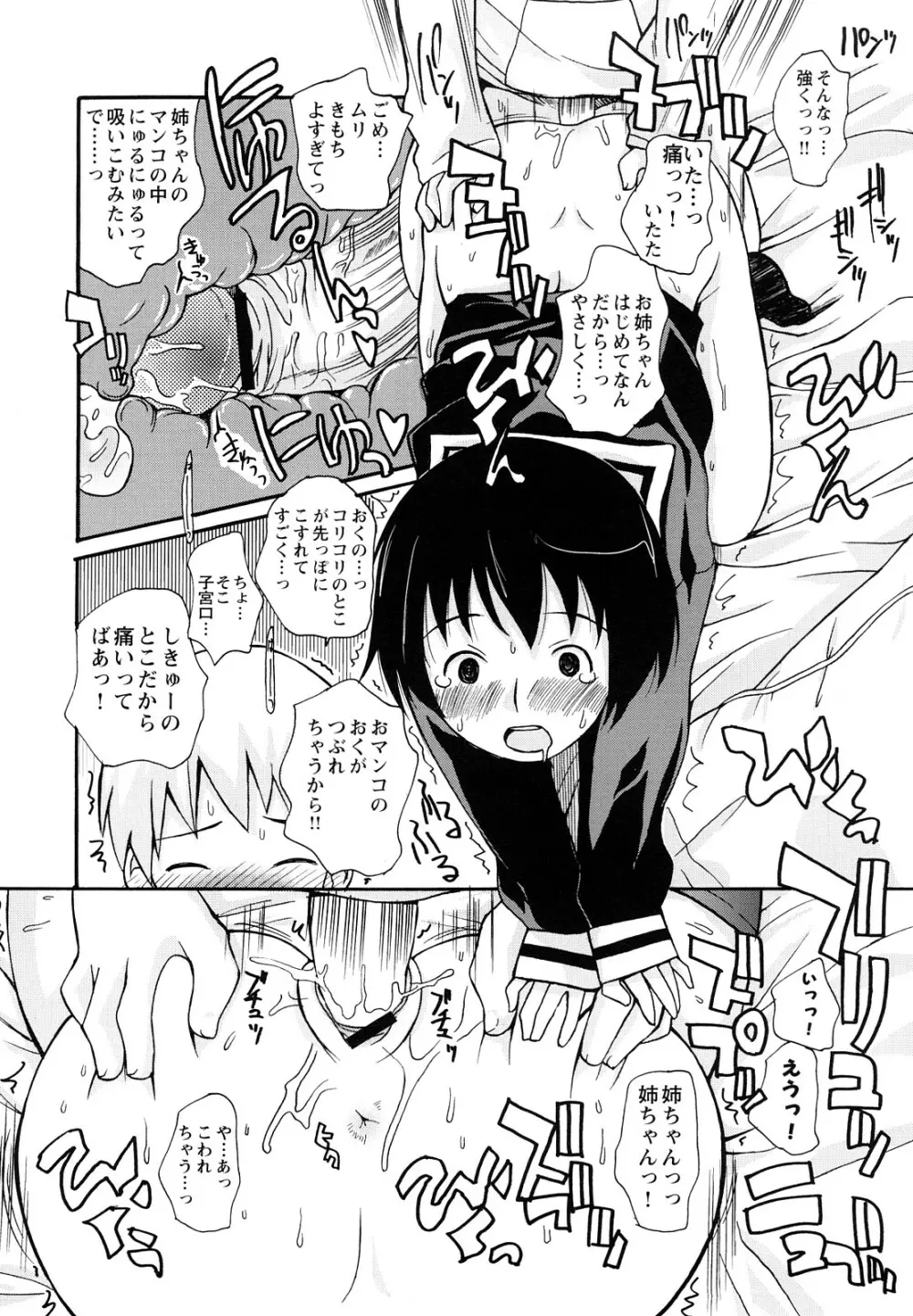 ぼくだって姉とセックスしてみたい！ Page.18