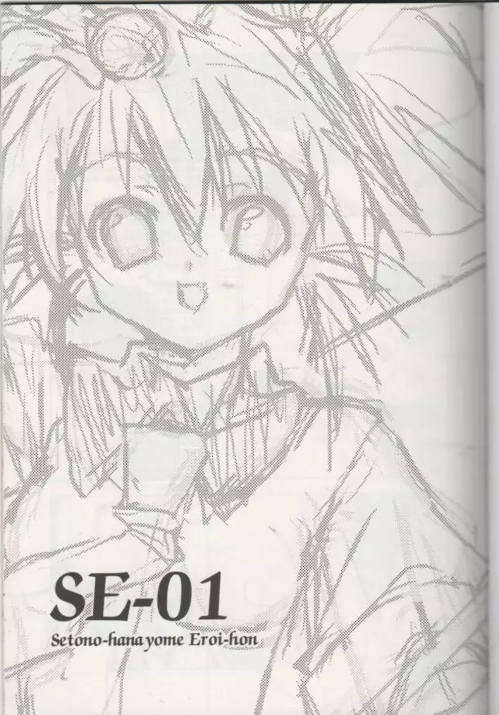 SE-01 Page.2