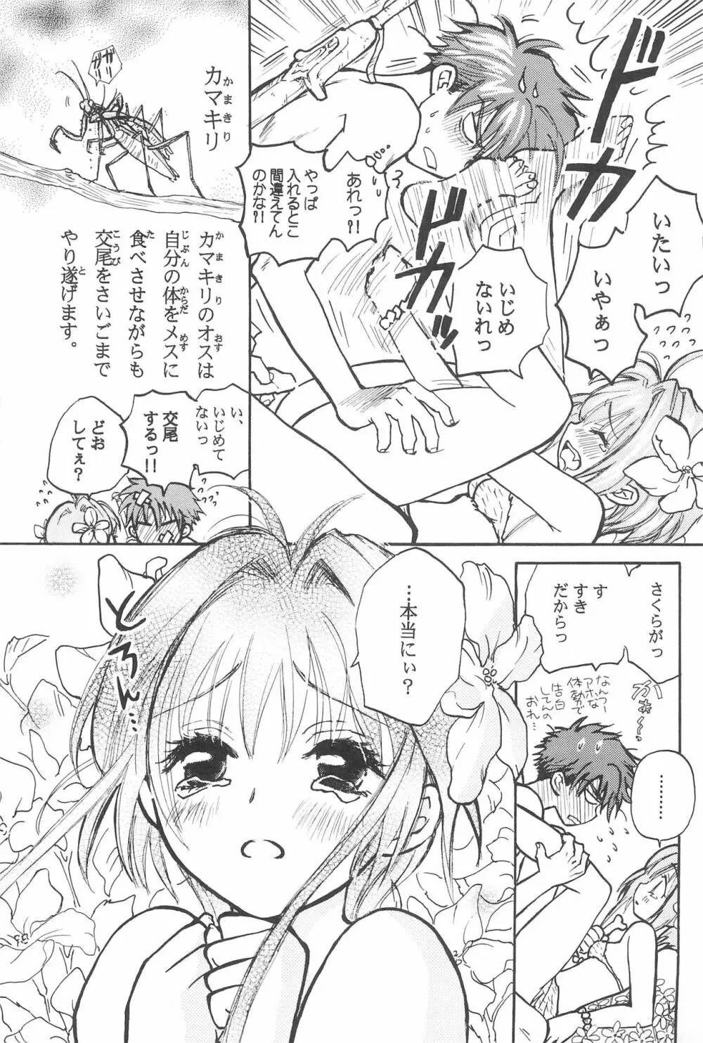 太陽のしっぽ Page.27