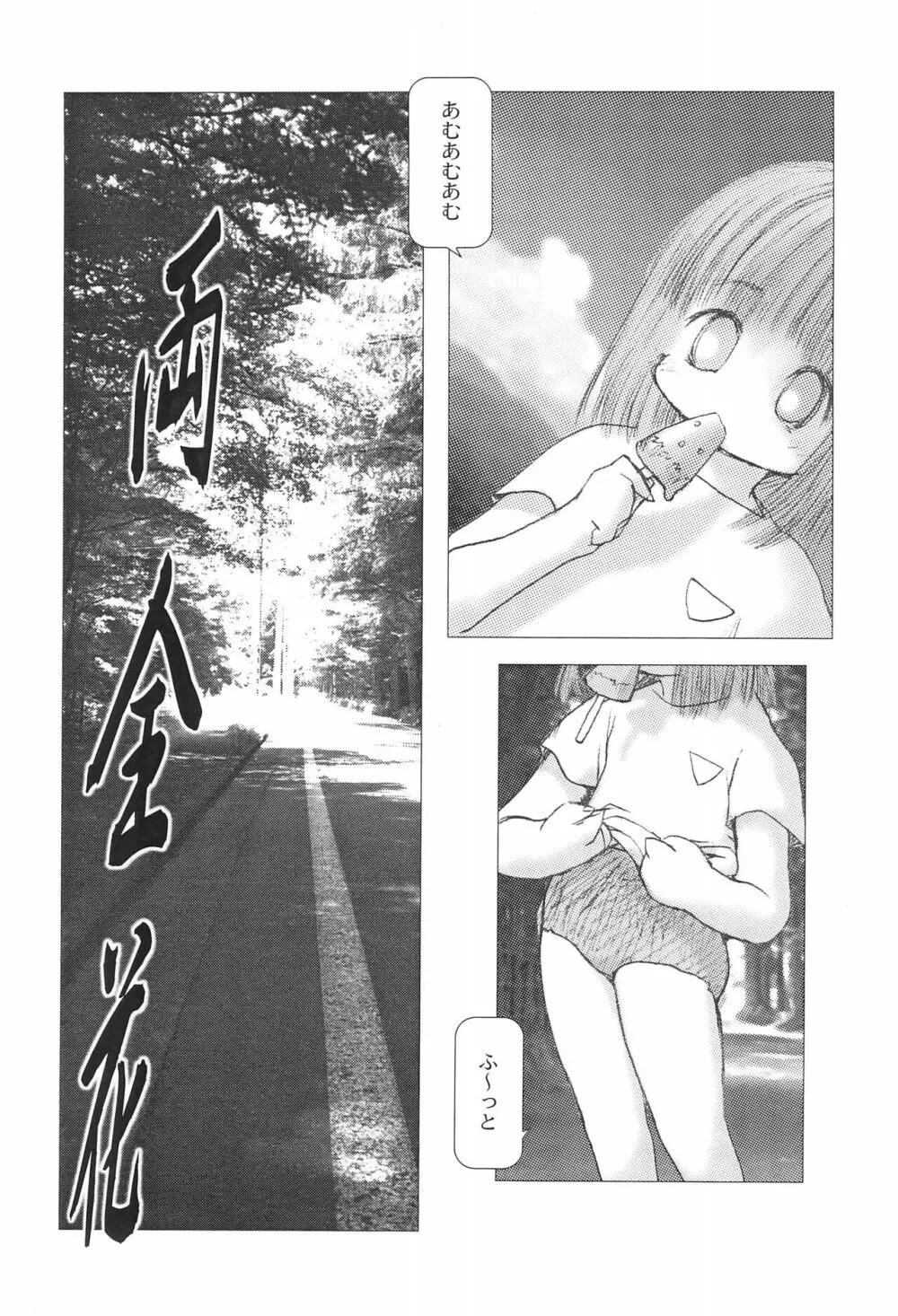 婆娑羅絵集 Page.5