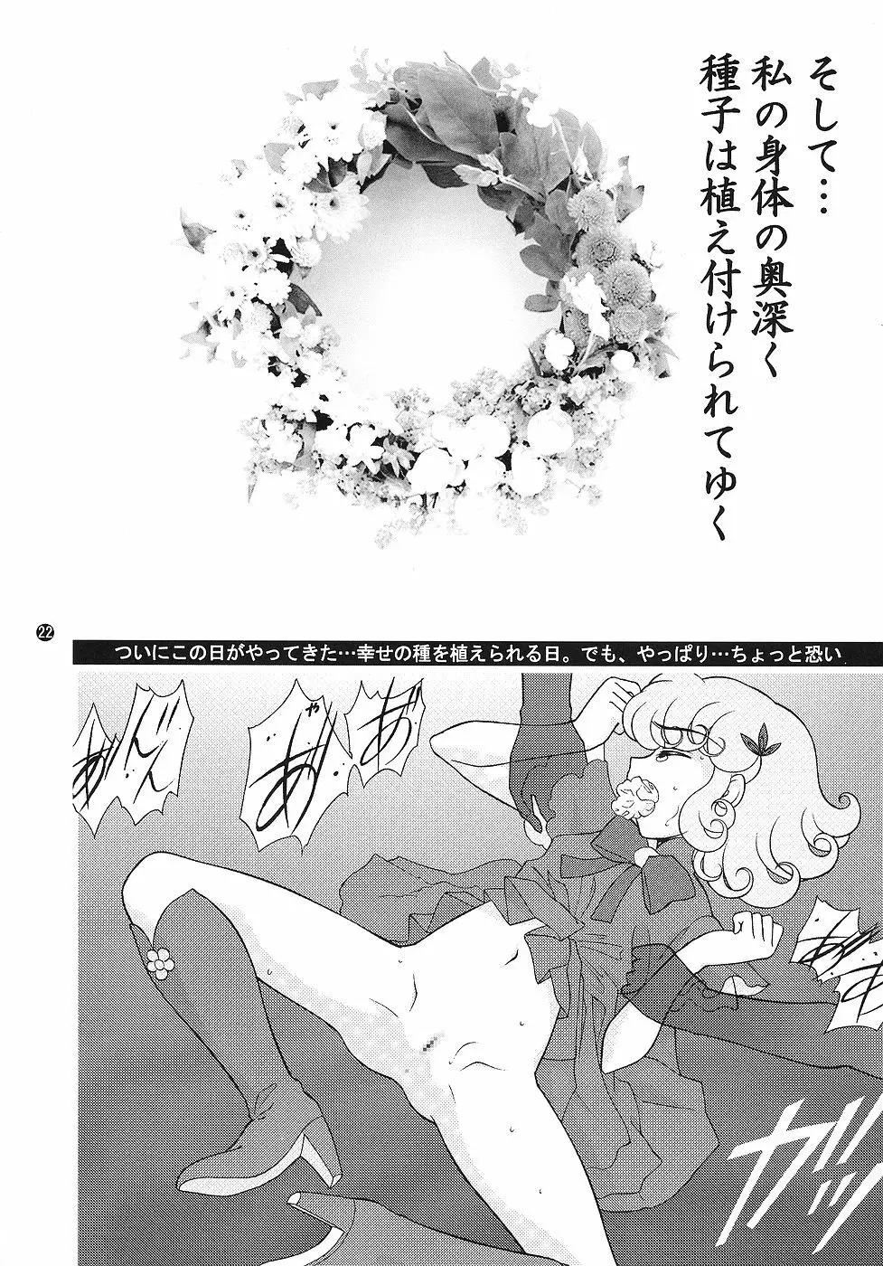 キャラエミュ キャラクターエミュレーションシリーズ 1 MAGICALGIRLS Page.21