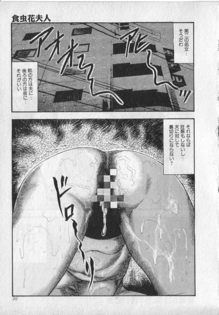 食虫花夫人 Page.101