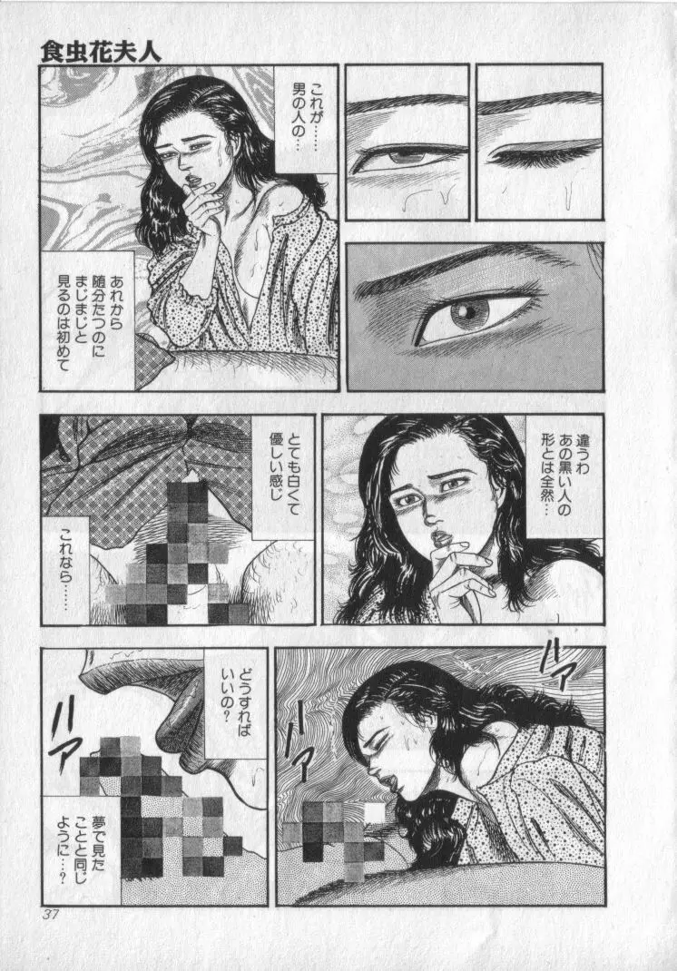 食虫花夫人 Page.39