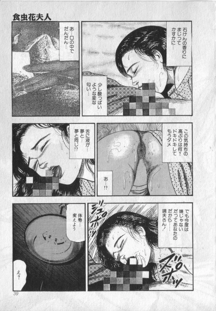 食虫花夫人 Page.41