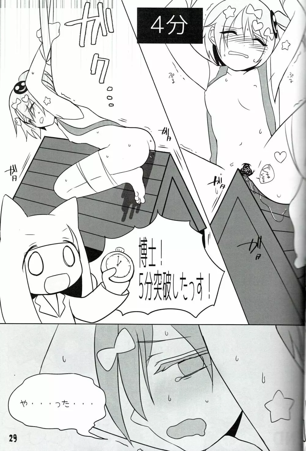 つるぺた研究報告書011 Page.29