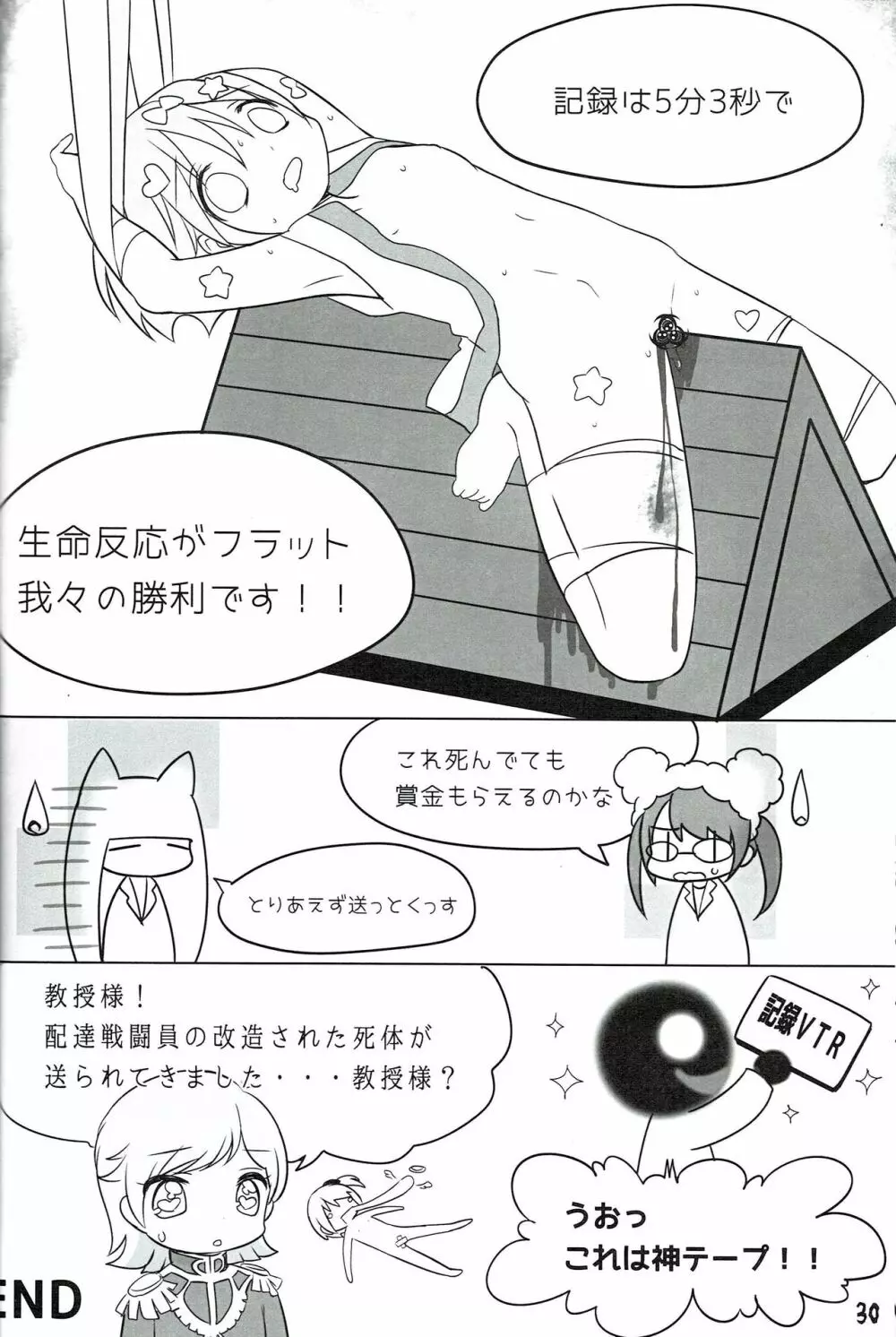 つるぺた研究報告書011 Page.30