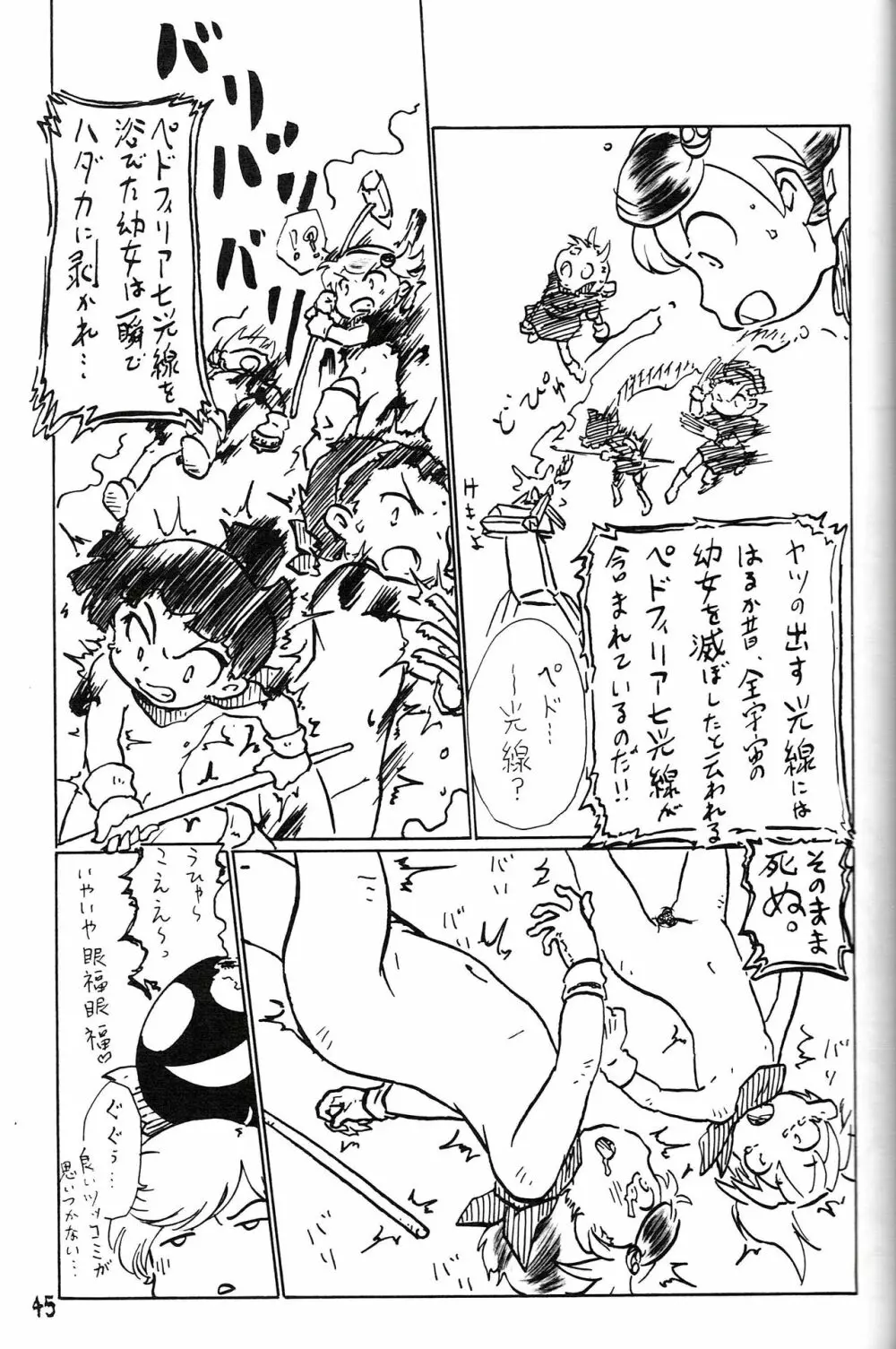 つるぺた研究報告書011 Page.45