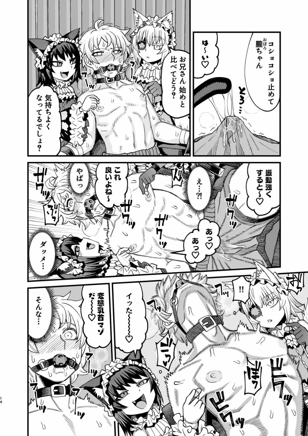 双子堕とし～アナタをマゾにしてあげる～ Page.13