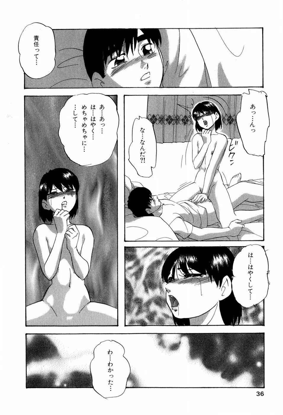 グラフィカルインターフェイス Page.39