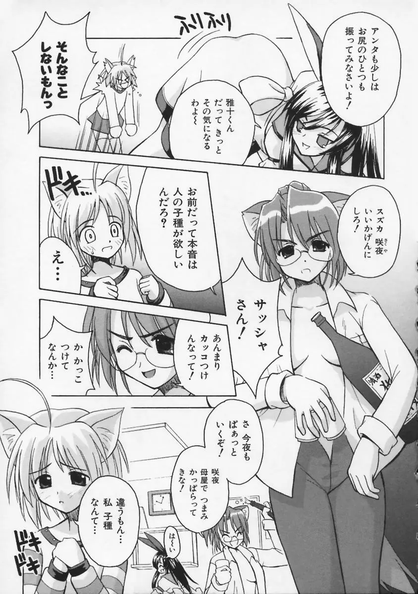 またネコっ! Page.10