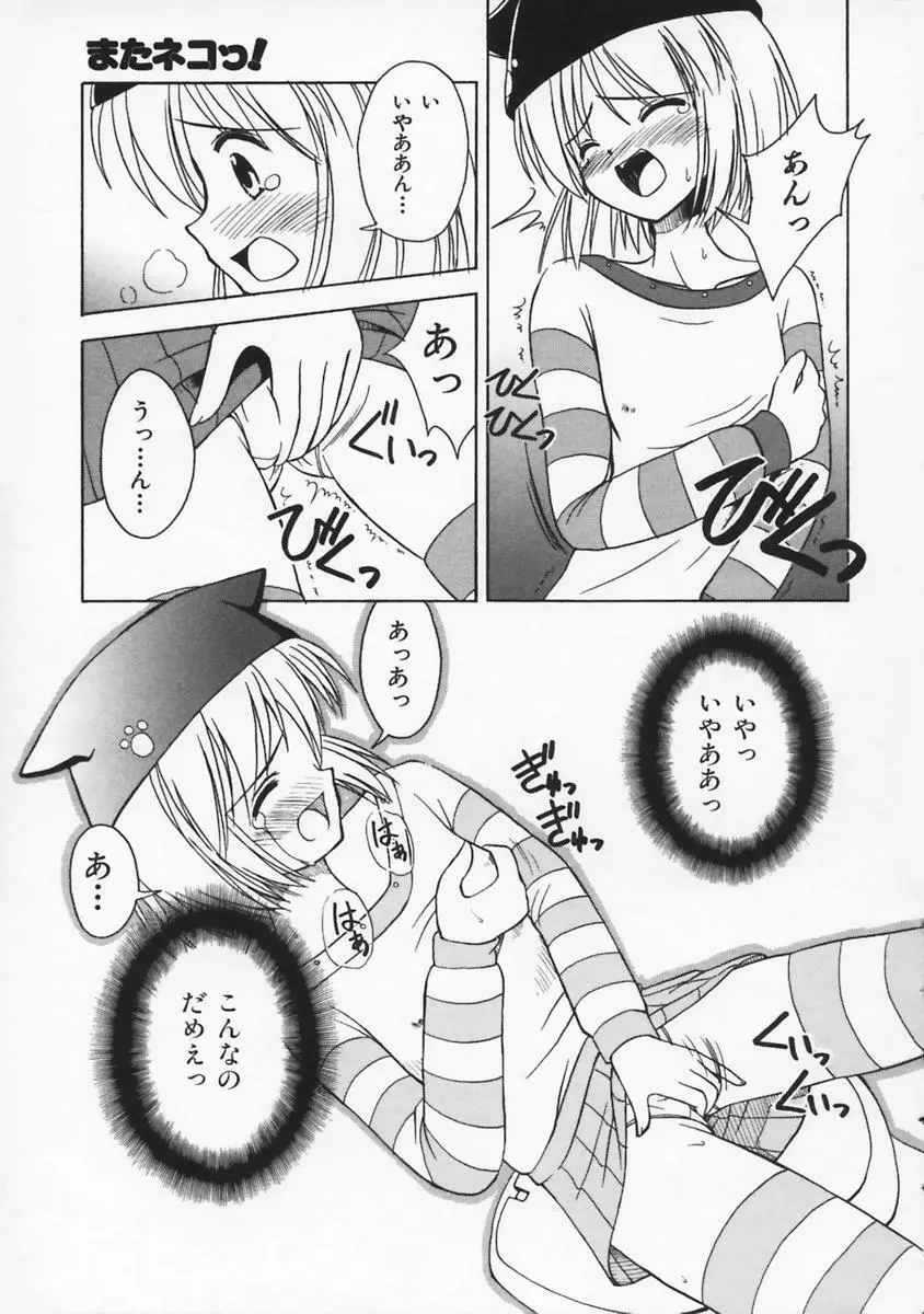 またネコっ! Page.110