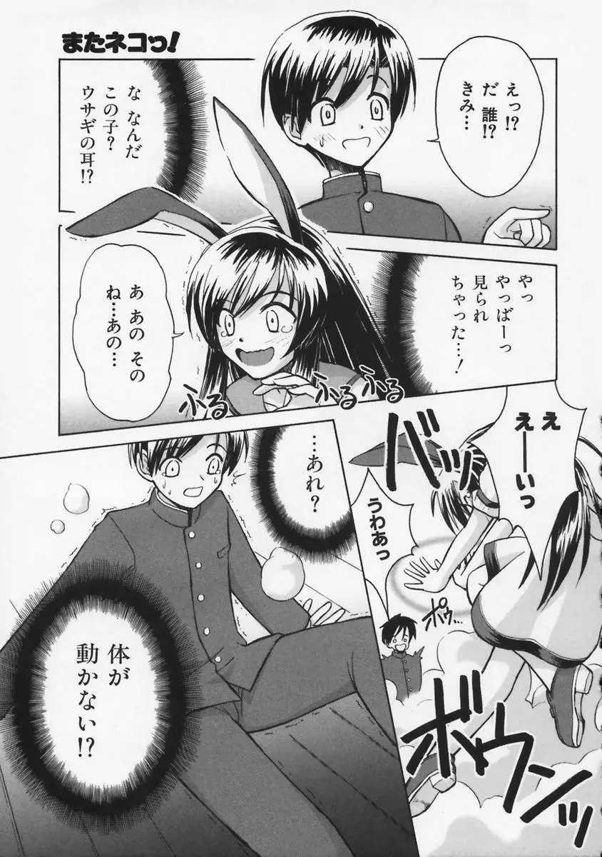 またネコっ! Page.12