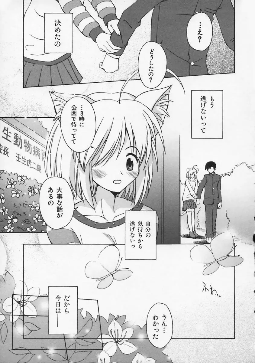 またネコっ! Page.138