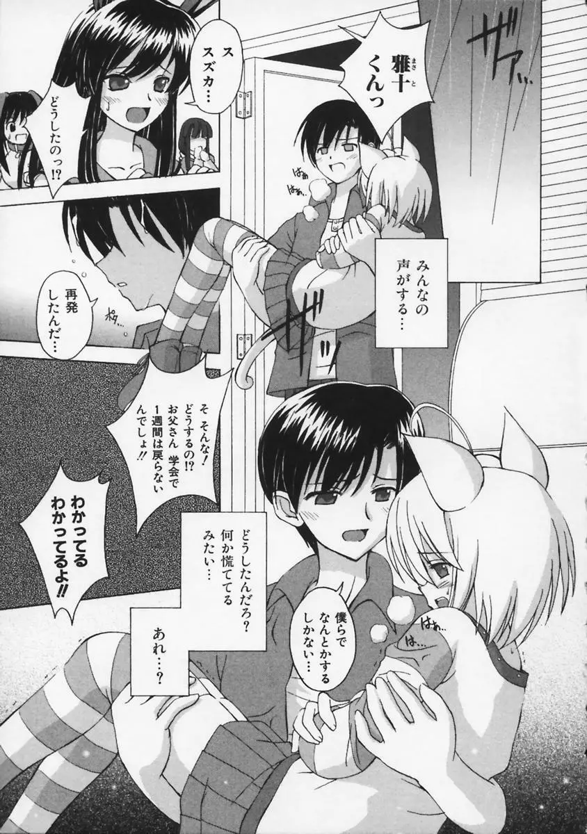 またネコっ! Page.156