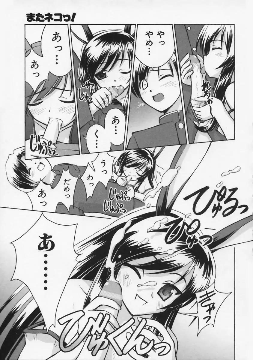 またネコっ! Page.16