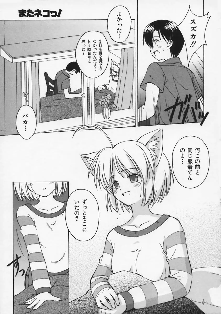 またネコっ! Page.162