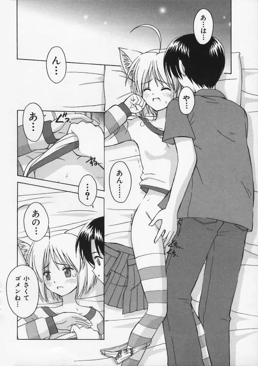 またネコっ! Page.165