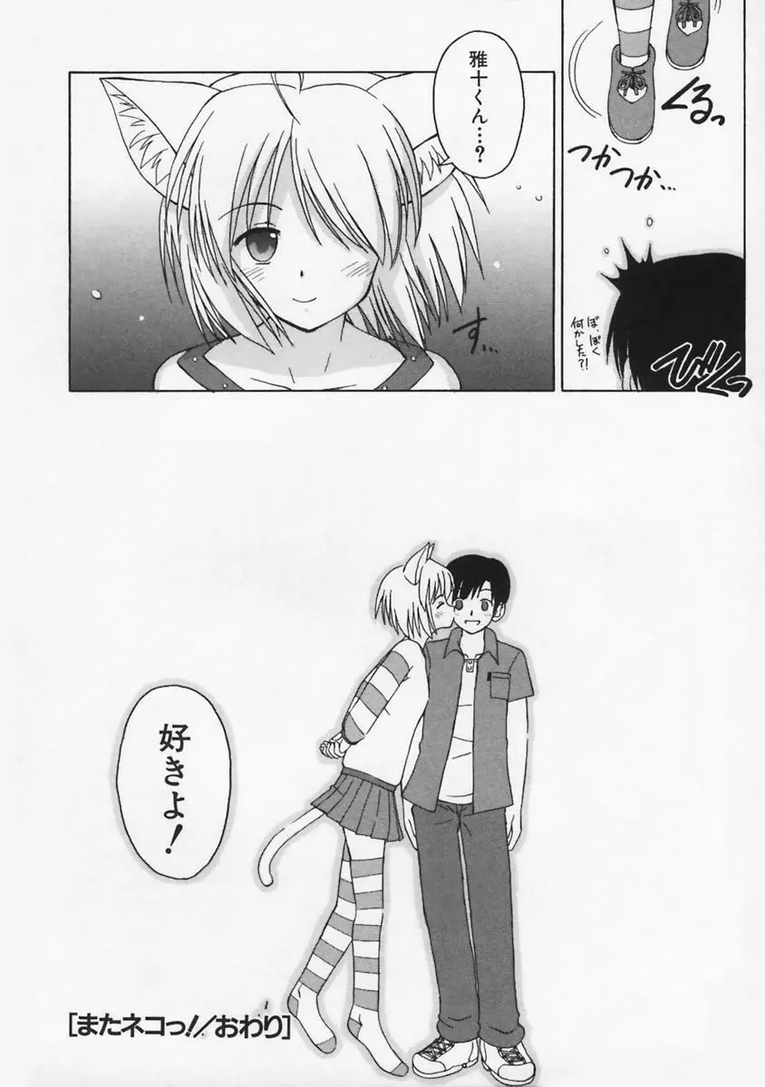 またネコっ! Page.173