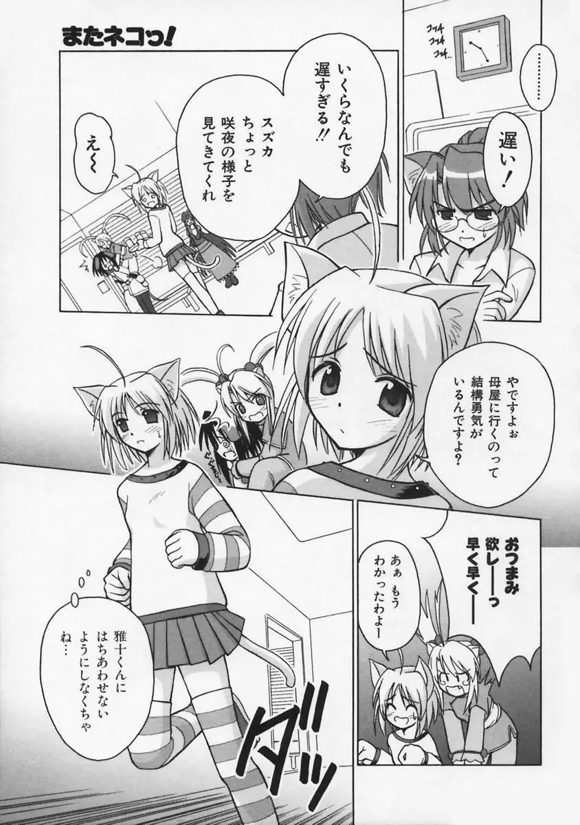 またネコっ! Page.18