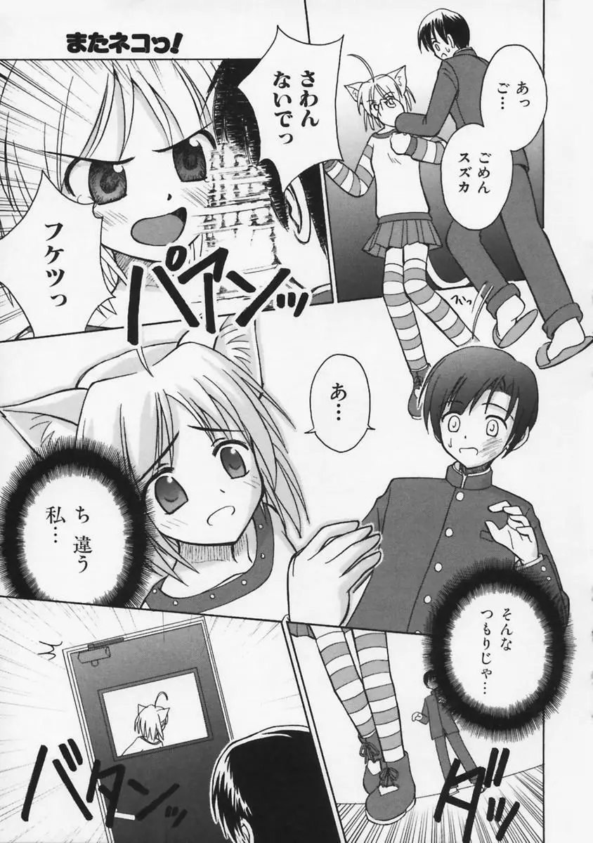 またネコっ! Page.30