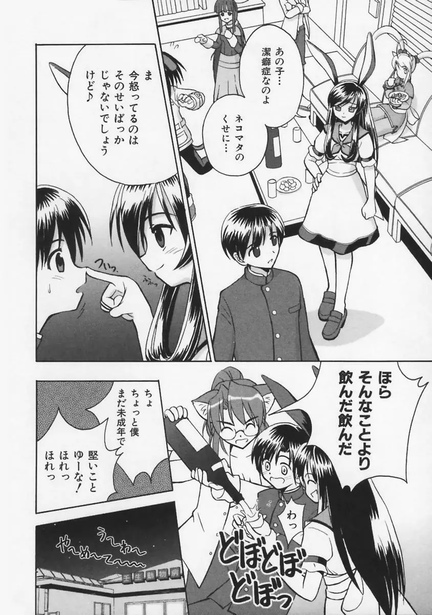 またネコっ! Page.31