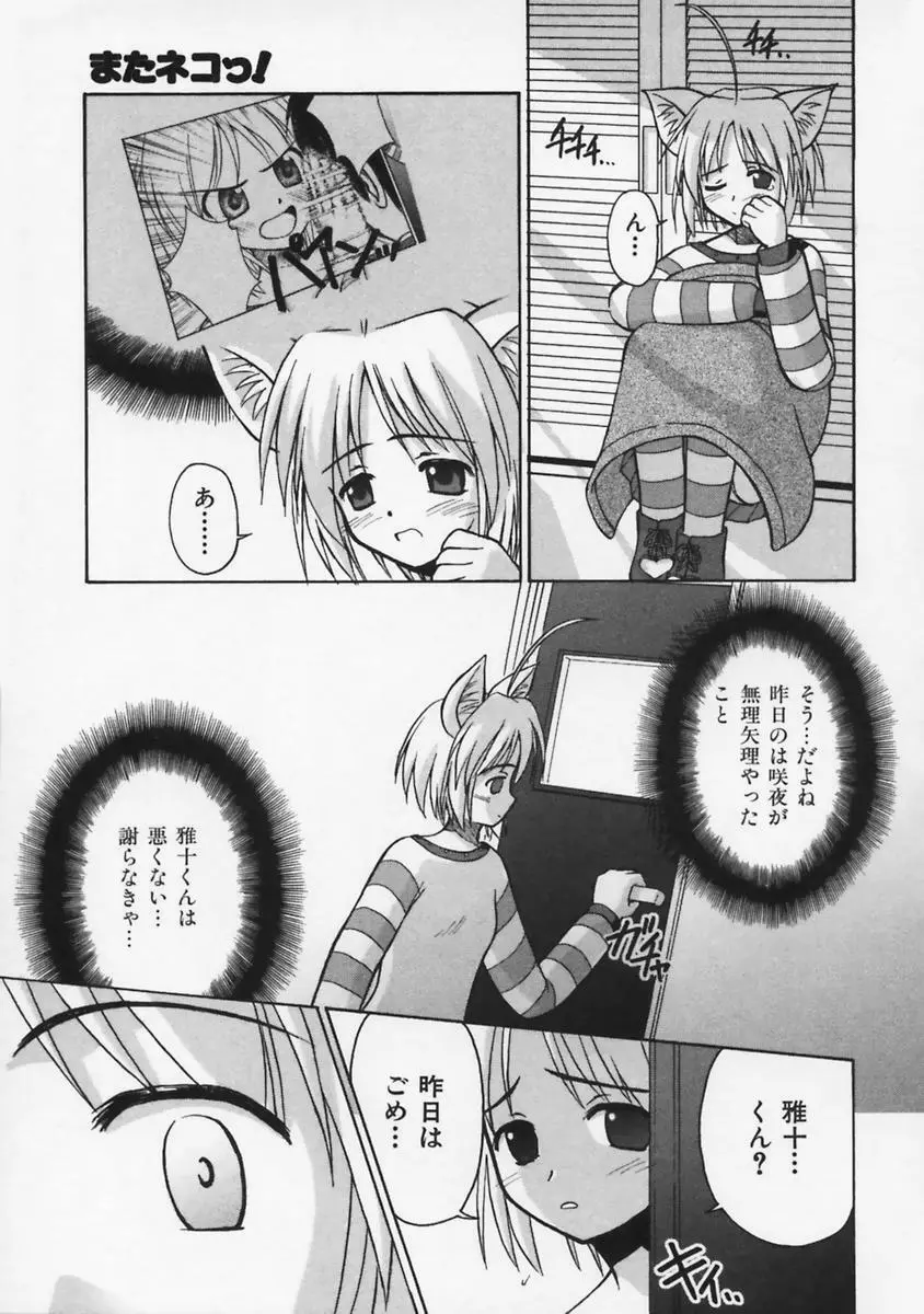 またネコっ! Page.40