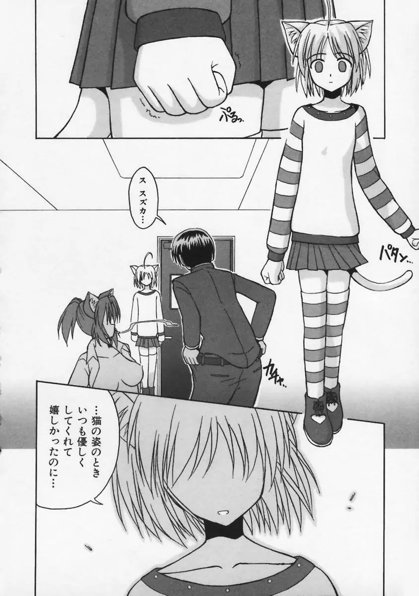またネコっ! Page.41
